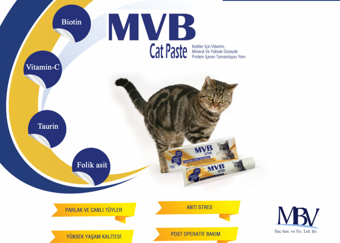 MVB Cat Paste