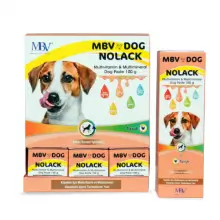 MBV DOG NOLACK